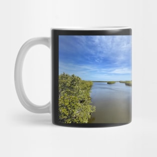 Waterway at Robinson Preserve Mug